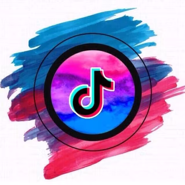 TikTok Instagram YouTube Downloader