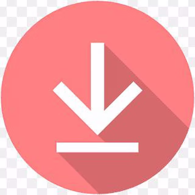 Instagram 帖子与快拍下载