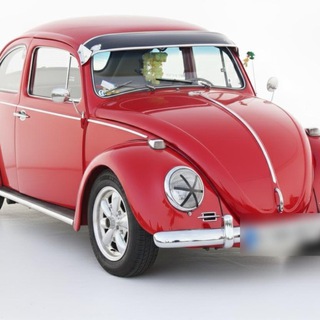 Plate Blur & Vehicle Analysis Bot