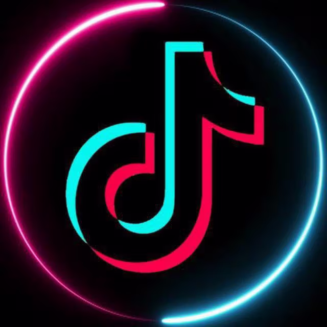 TikTok video downloader