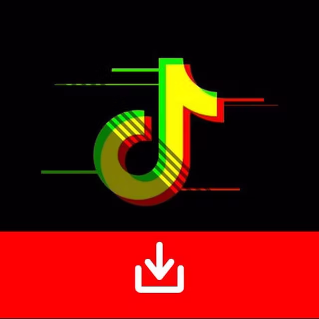 TikTok Downloader