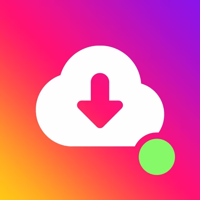 Downloader Instagram TikTok YouTube